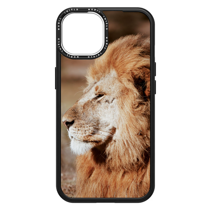 animals 173